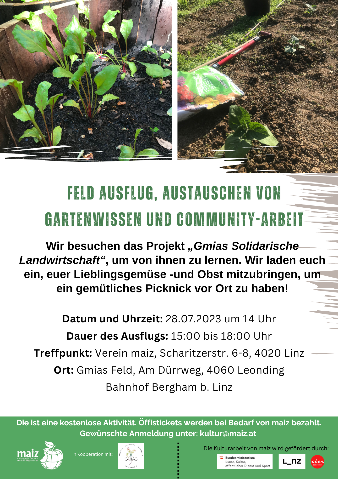 Bild mit Pflanzen und Werkzeuge auf dem Feld